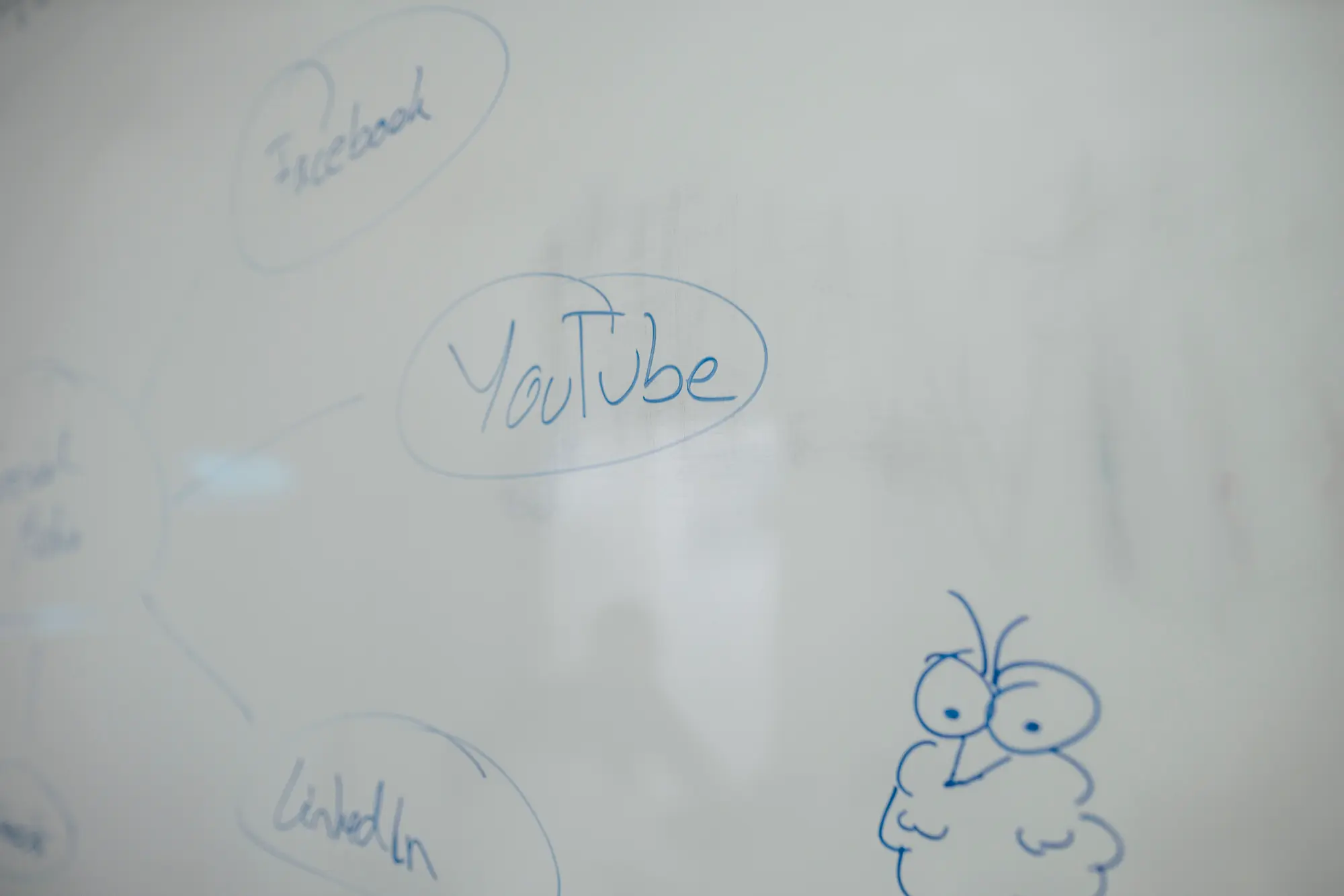 Content Marketing B2B Agentur Team in Freiburg